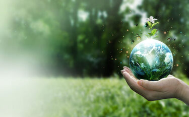 グリーン<ruby><rb>購入法</rb><rp>(</rp><rt>こうにゅうほう</rt><rp>)</rp></ruby>