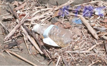 ごみ問題の解決に小学生にできることをわかりやすく解説します！