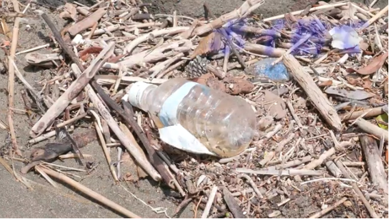 ごみ問題の解決に小学生にできることをわかりやすく解説します！