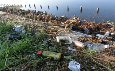 海を<ruby>汚<rp>(</rp><rt>よご</rt><rp>)</rp></ruby>す海洋プラスチックごみ。その<ruby>現状<rp>(</rp><rt>げんじょう</rt><rp>)</rp></ruby>と対策をわかりやすく解説します！