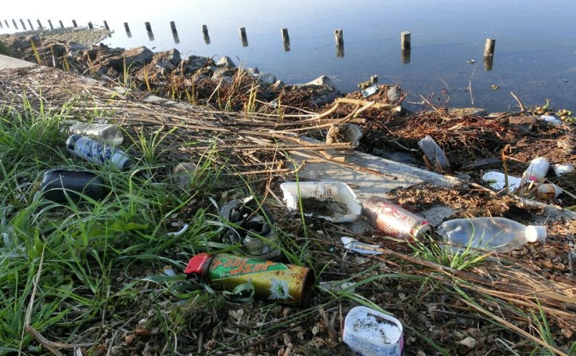 海を汚(よご)す海洋プラスチックごみ。その現状(げんじょう)と対策をわかりやすく解説します！
